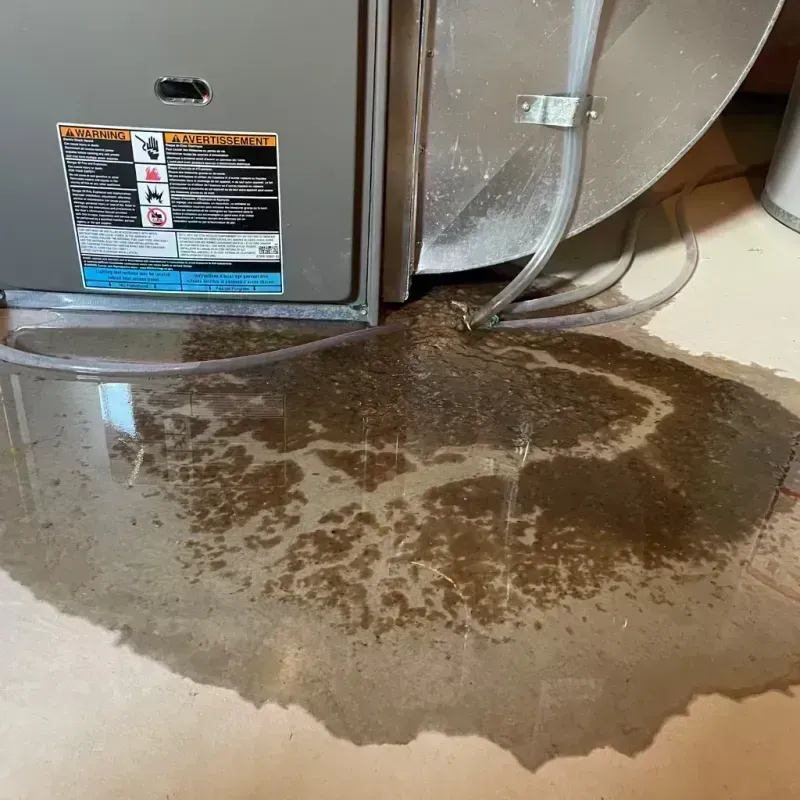 Appliance Leak Cleanup in Cumberland, WI